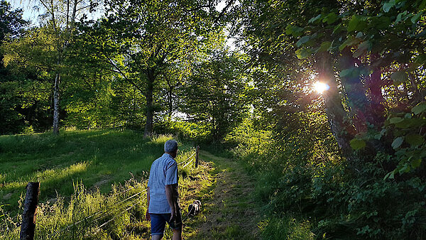 Wanderurlaub mit der Familie im Zellertal